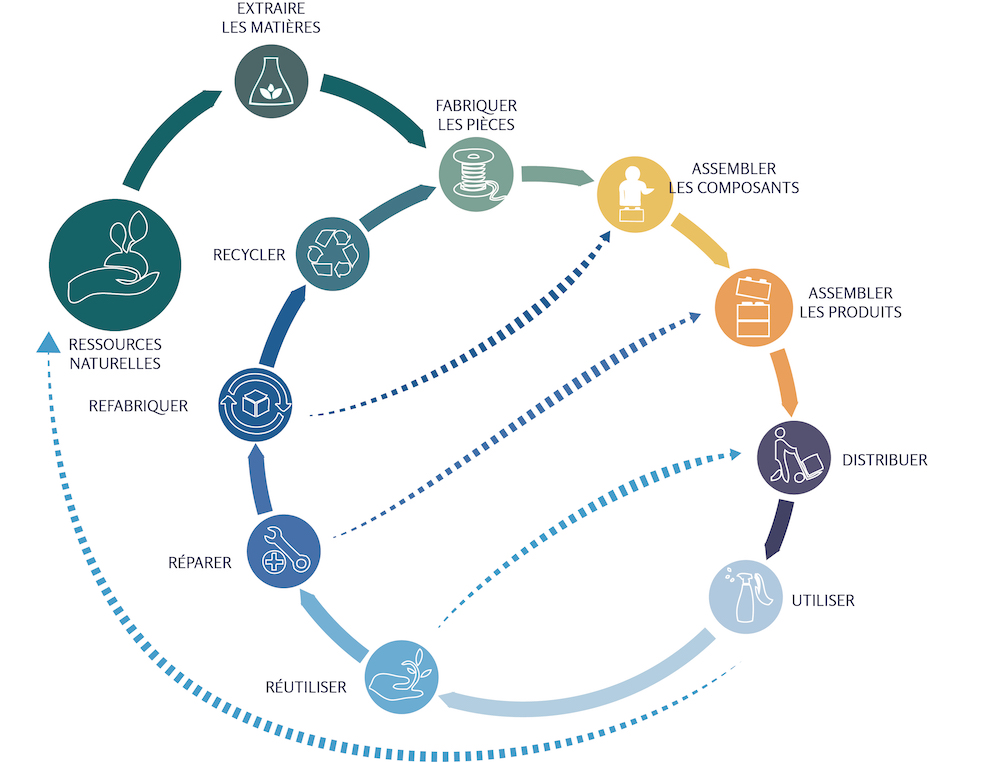 En qué consiste la economía circular